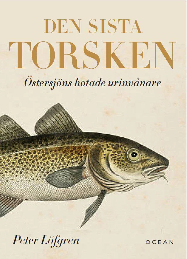 Tuotekuva 1