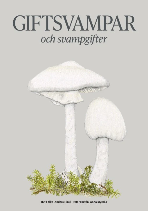 Tuotekuva 1