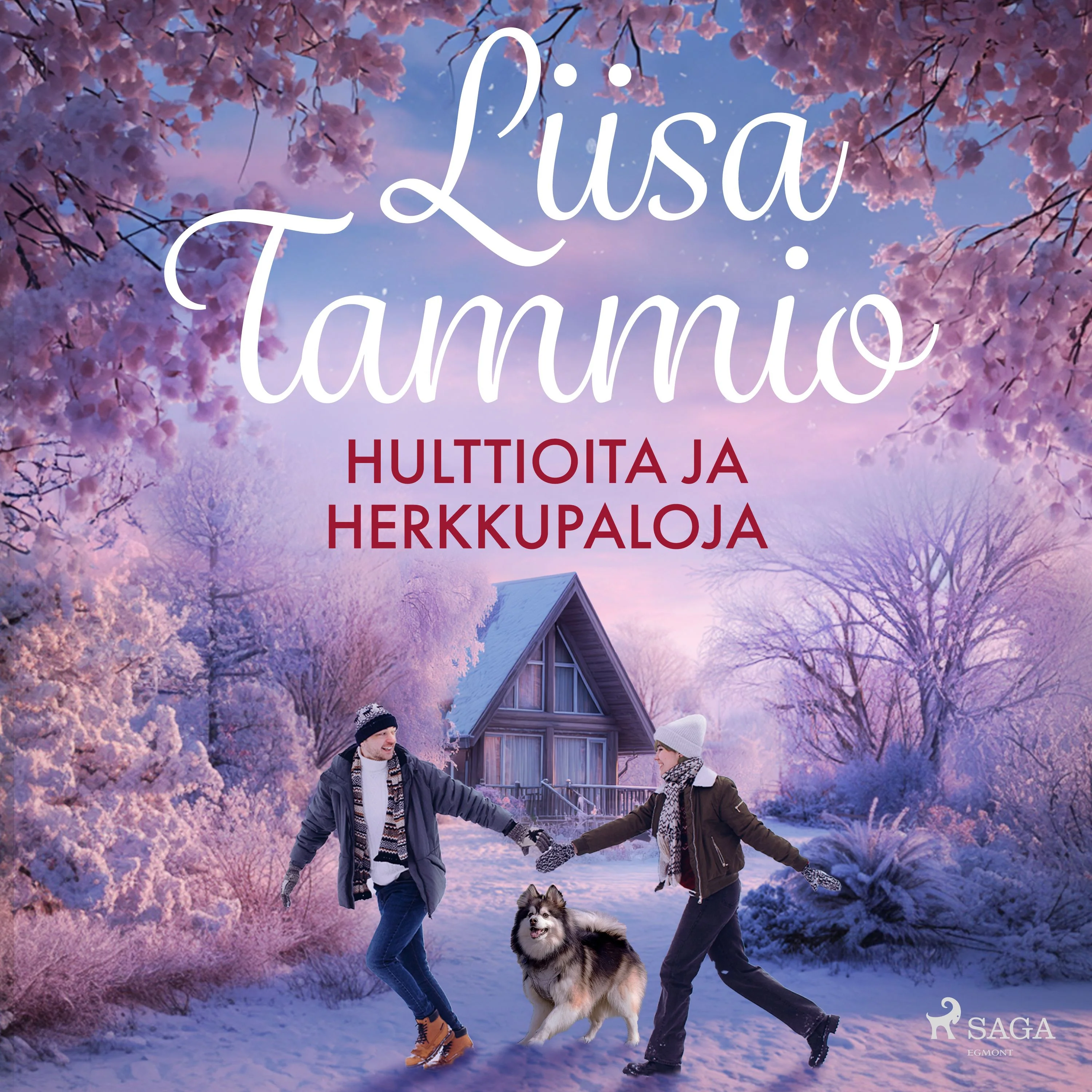 Tuotekuva 1