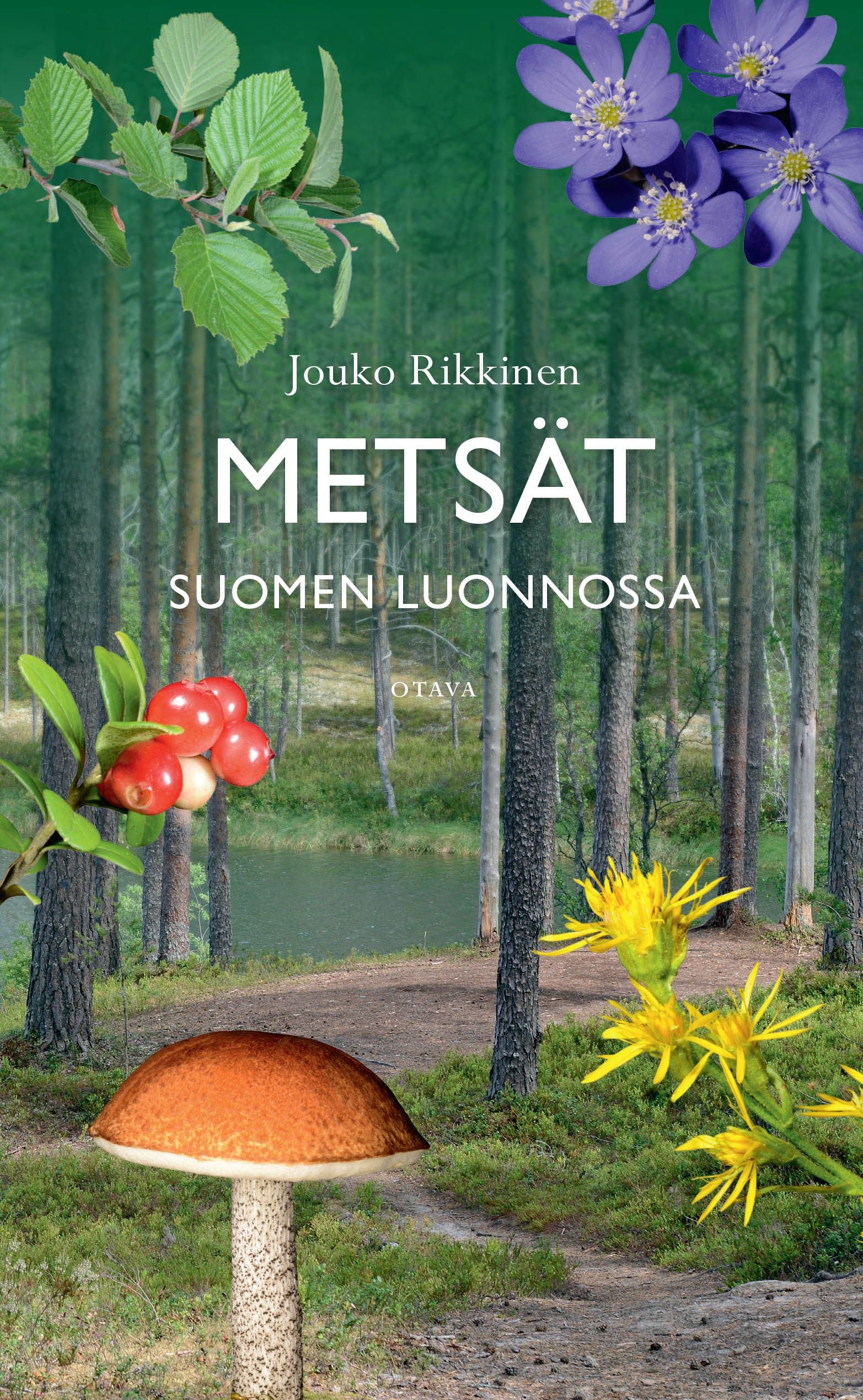 Tuotekuva 1