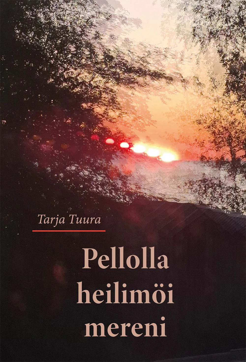 Tuotekuva 1