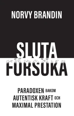 Tuotekuva 1