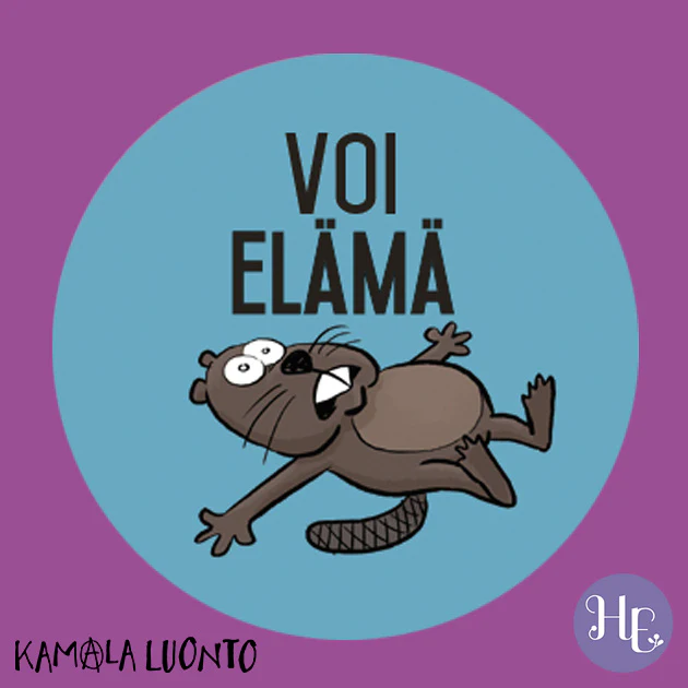 Tuotekuva 4